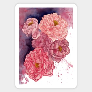 Peonies illustration 2 Sticker